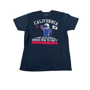 Riot Society California Knows How To Party T Shirt  Gray Short Sleeve